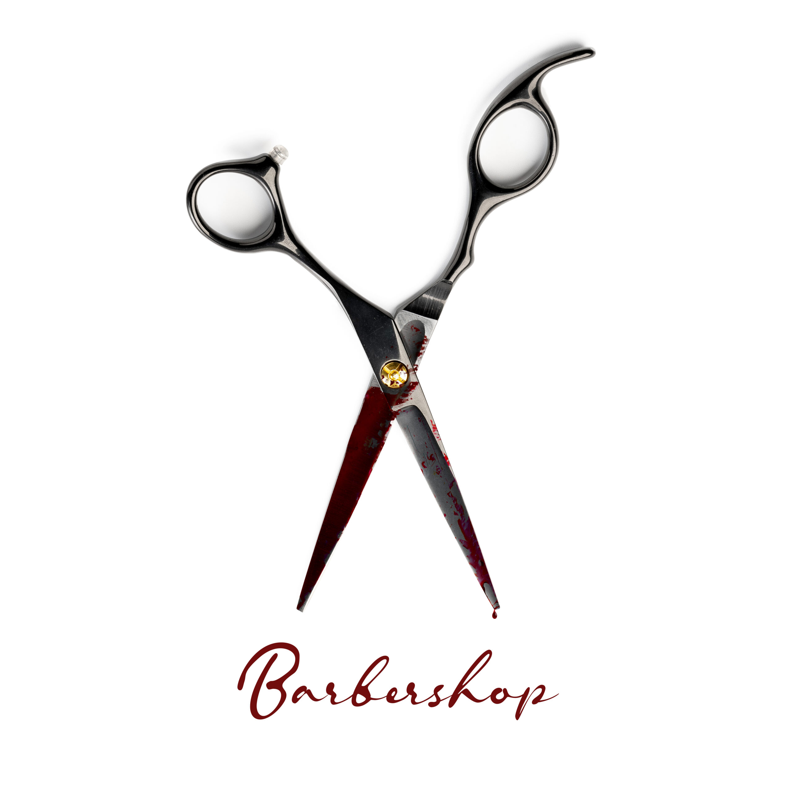 Featured image for “sans-e: Barbershop”